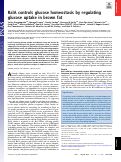 Cover page: RalA controls glucose homeostasis by regulating glucose uptake in brown fat