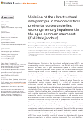 Cover page: Violation of the ultrastructural size principle in the dorsolateral prefrontal cortex underlies working memory impairment in the aged common marmoset (Callithrix jacchus).