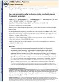 Cover page: Vascular remodeling after ischemic stroke: Mechanisms and therapeutic potentials