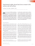 Cover page: Actin-based motility drives baculovirus transit to the nucleus and cell surface