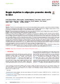 Cover page: Noggin depletion in adipocytes promotes obesity in mice