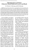 Cover page: Ultrastructure of Citrus Chlorotic Dwarf-Infected Leaves and Bark