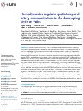 Cover page: Hemodynamics regulate spatiotemporal artery muscularization in the developing circle of Willis.