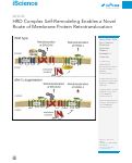 Cover page: HRD Complex Self-Remodeling Enables a Novel Route of Membrane Protein Retrotranslocation