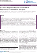 Cover page: NeuroD2 regulates the development of hippocampal mossy fiber synapses