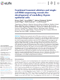 Cover page: Combined transient ablation and single cell RNA sequencing reveals the development of medullary thymic epithelial cells