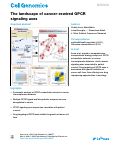 Cover page: The landscape of cancer-rewired GPCR signaling axes.