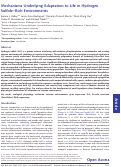 Cover page: Mechanisms Underlying Adaptation to Life in Hydrogen Sulfide–Rich Environments