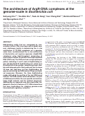 Cover page: The architecture of ArgR-DNA complexes at the genome-scale in Escherichia coli