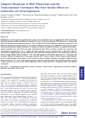 Cover page: Adaptive Mutations in RNA Polymerase and the Transcriptional Terminator Rho Have Similar Effects on Escherichia coli Gene Expression