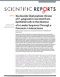 Cover page: Nucleoside-Diphosphate-Kinase of P. gingivalis is Secreted from Epithelial Cells In the Absence of a Leader Sequence Through a Pannexin-1 Interactome