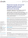 Cover page: Retinal microvascular and neuronal pathologies probed in vivo by adaptive optical two-photon fluorescence microscopy