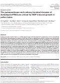 Cover page: The juxtamembrane and carboxy-terminal domains of Arabidopsis PRK2 are critical for ROP-induced growth in pollen tubes