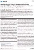 Cover page: Helicobacter pylori infection downregulates the DNA glycosylase NEIL2, resulting in increased genome damage and inflammation in gastric epithelial cells