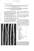 Cover page: Behavior of Seedling Lines of Citrus Naturally Infected with Tristeza Virus