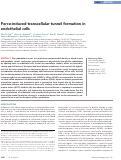 Cover page: Force-induced transcellular tunnel formation in endothelial cells