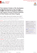 Cover page: Transcriptome Analysis of the Spodoptera frugiperda Ascovirus In Vivo Provides Insights into How Its Apoptosis Inhibitors and Caspase Promote Increased Synthesis of Viral Vesicles and Virion Progeny