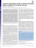 Cover page: A helicase-independent activity of eIF4A in promoting mRNA recruitment to the human ribosome