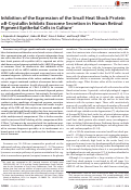 Cover page: Inhibition of the Expression of the Small Heat Shock Protein αB-Crystallin Inhibits Exosome Secretion in Human Retinal Pigment Epithelial Cells in Culture*