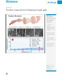 Cover page: Tendon-inspired anti-freezing tough gels