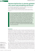 Cover page: Telomere dysfunction in alveolar epithelial cells causes lung remodeling and fibrosis