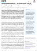 Cover page: Sm complex assembly and 5′ cap trimethylation promote selective processing of snRNAs by the 3′ exonuclease TOE1