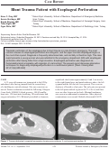 Cover page: Blunt Trauma Patient with Esophageal Perforation