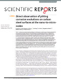 Cover page: Direct observation of pitting corrosion evolutions on carbon steel surfaces at the nano-to-micro- scales