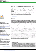 Cover page: Rv0004 is a new essential member of the mycobacterial DNA replication machinery