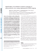 Cover page: Identification of cholesterol crystals in plaques of atherosclerotic mice using hyperspectral CARS imaging