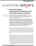 Cover page: Abnormal Capillary Vasodynamics Contribute to Ictal Neurodegeneration in Epilepsy