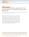 Cover page: Tsc1 represses parvalbumin expression and fast-spiking properties in somatostatin lineage cortical interneurons