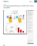 Cover page: Visualizing Ligand Binding to a GPCR In&nbsp;Vivo Using NanoBRET