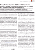 Cover page: Molecular Circuitry of the SUMO (Small Ubiquitin-like Modifier) Pathway in Controlling Sumoylation Homeostasis and Suppressing Genome Rearrangements*