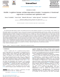 Cover page: Regulation of human sodium-dependent vitamin C transporter-2 function in neuronal cells by ubiquitin E3 ligase Nedd4-1