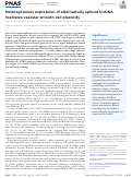 Cover page: Heterogeneous expression of alternatively spliced lncRNA mediates vascular smooth cell plasticity