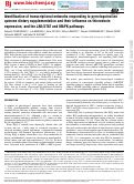 Cover page: Identification of transcriptional networks responding to pyrroloquinoline quinone dietary supplementation and their influence on thioredoxin expression, and the JAK/STAT and MAPK pathways