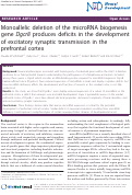 Cover page: Monoallelic deletion of the microRNA biogenesis gene Dgcr8 produces deficits in the development of excitatory synaptic transmission in the prefrontal cortex