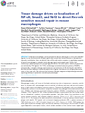 Cover page: Tissue damage drives co-localization of NF-κB, Smad3, and Nrf2 to direct Rev-erb sensitive wound repair in mouse macrophages