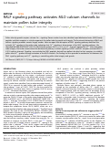 Cover page: RALF signaling pathway activates MLO calcium channels to maintain pollen tube integrity