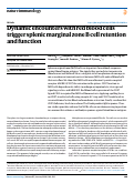 Cover page: Dynamic encounters with red blood cells trigger splenic marginal zone B cell retention and function.