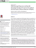 Cover page: DNA Damage Response and Spindle Assembly Checkpoint Function throughout the Cell Cycle to Ensure Genomic Integrity