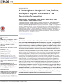 Cover page: A Transcriptomic Analysis of Cave, Surface, and Hybrid Isopod Crustaceans of the Species Asellus aquaticus