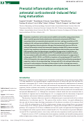 Cover page: Prenatal inflammation enhances antenatal corticosteroid–induced fetal lung maturation