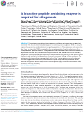 Cover page: A bioactive peptide amidating enzyme is required for ciliogenesis