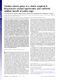 Cover page: Tandem oleosin genes in a cluster acquired in Brassicaceae created tapetosomes and conferred additive benefit of pollen vigor