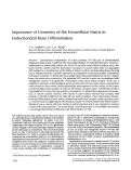 Cover page: Importance of geometry of the extracellular matrix in endochondral bone differentiation.