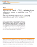 Cover page: PHD1 controls muscle mTORC1 in a hydroxylation-independent manner by stabilizing leucyl tRNA synthetase