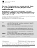 Cover page: Control of cytoplasmic and nuclear protein kinase A by phosphodiesterases and phosphatases in cardiac myocytes