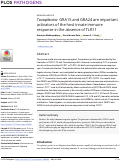 Cover page: Toxoplasma GRA15 and GRA24 are important activators of the host innate immune response in the absence of TLR11